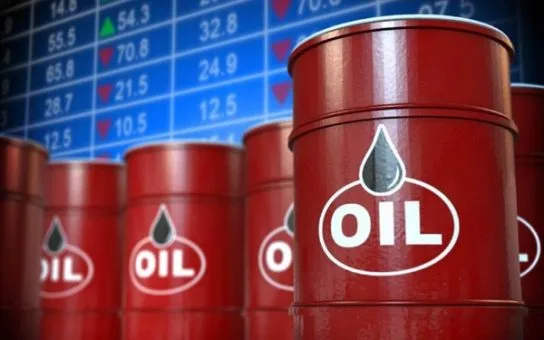 Africa loses $15bn yearly exporting crude, gas — APPO Africa loses $15bn yearly exporting crude, gas — APPO