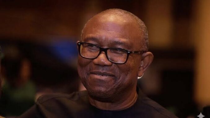 Peter Obi Reveals How He Cut Anambra Governance Costs From N298m to N48m IMG_7711