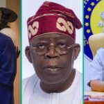 Davido Publicly Celebrates As Governor Adeleke Secures Key Appointment In Tinubu’s 2027 Campaign Davido Publicly Celebrates As Governor Adeleke Secures Key Appointment In Tinubu’s 2027 Campaign