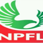 NPFL Match Day 9: Rangers Face MC Alger As Sundowns, Zamalek Begin CAF Campaigns IMG_9404